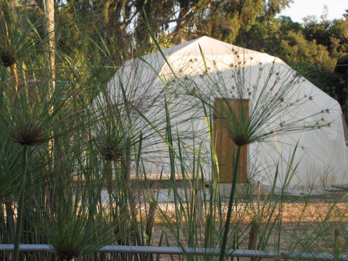 Yarok Az - Ecolodge Farm Ilaniya Room photo